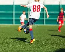 年度最佳球,员竞争者,布罗佐维奇,开云体育,开云体育官网,开云体育app,开云体育app下载