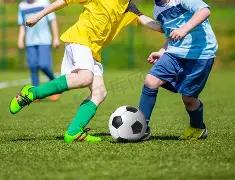 青岛海牛官,中场实力大,罗森文加盟,开云体育,开云体育官网,开云体育app,开云体育app下载