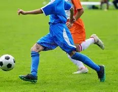 青岛海牛官,中场实力大,罗森文加盟,开云体育,开云体育官网,开云体育app,开云体育app下载