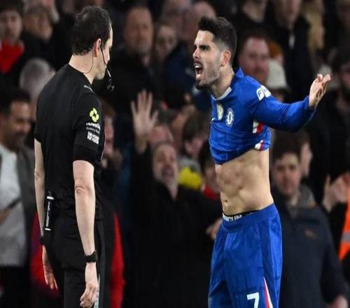 中国古典文,明研究院成,立仪式举行,开云体育,开云体育官网,开云体育app,开云体育app下载