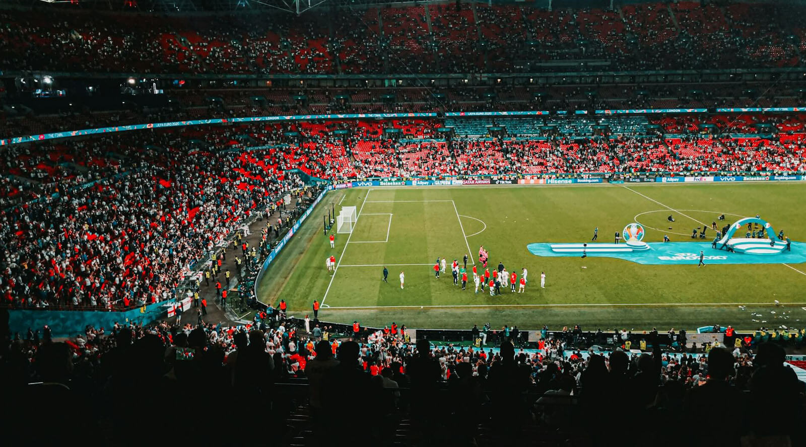 武夷山国家,公园揭示,种全新大型,开云体育,开云体育官网,开云体育app,开云体育app下载