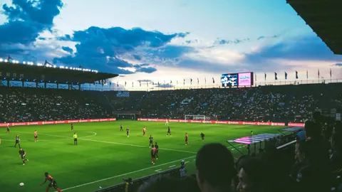 篮球之光：守护“唐宝”的梦想