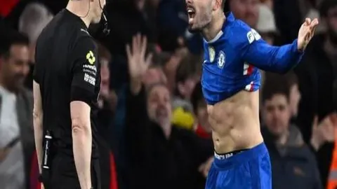 中国古典文明研究院成立仪式举行——新华社报道